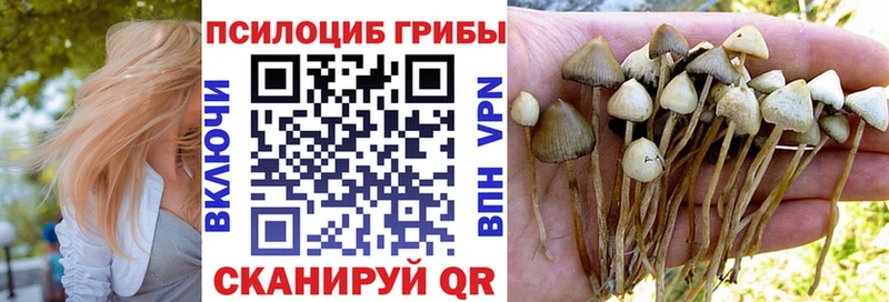 Псилоцибиновые грибы GOLDEN TEACHER Брянск