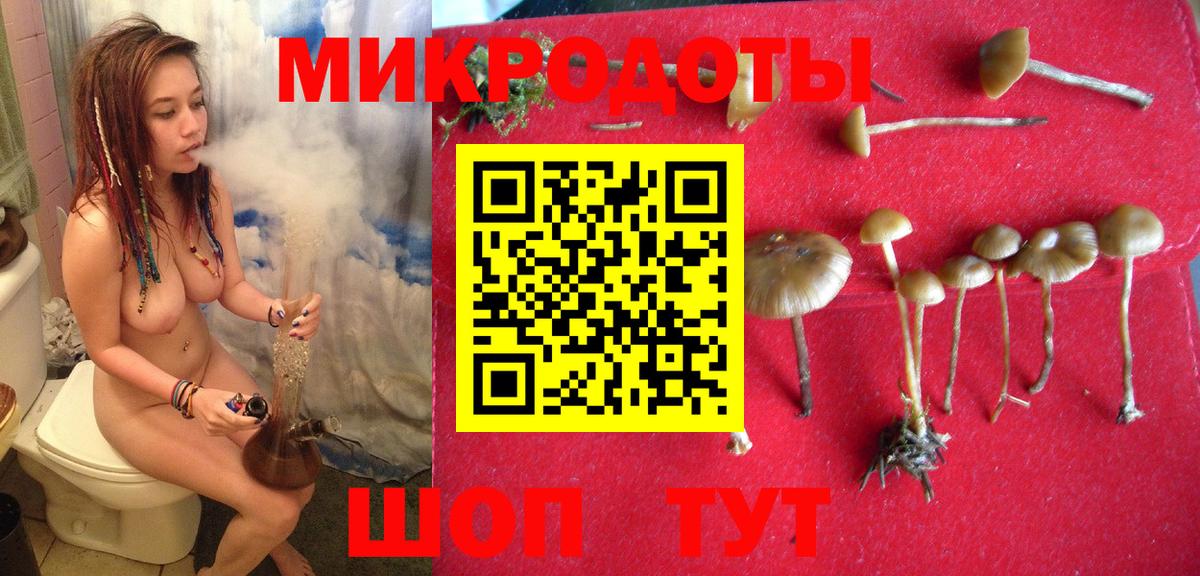 Псилоцибиновые грибы MAGIC MUSHROOMS  Псилоцибиновые грибы Magic Shrooms  Брянск  Вход с VPN 