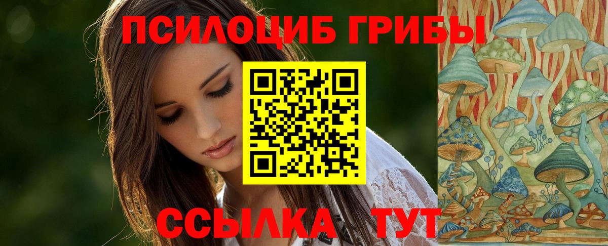 Галлюциногенные грибы GOLDEN TEACHER Брянск